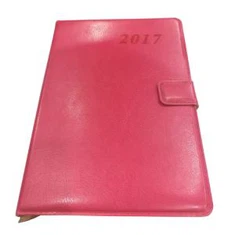 Planner pirsunali cutiddiànu 250 Pagini quadernu di caru cu l'indici divisuri